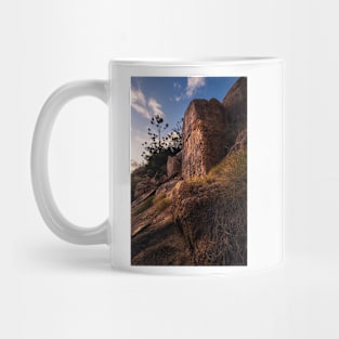 Rock Faces Mug